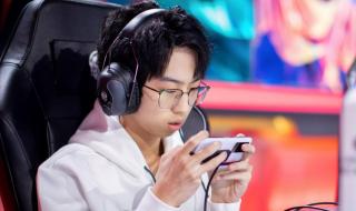 xyg战队和张大仙什么关系