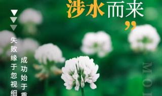 愿2023年一切顺利的说说