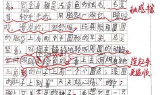 我喜欢的玩具100字写话