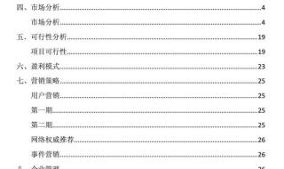 大学生创业项目计划书