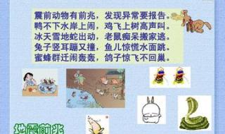 地震来临前的9种预兆