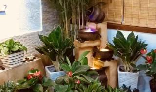 办公室绿植租赁哪家好